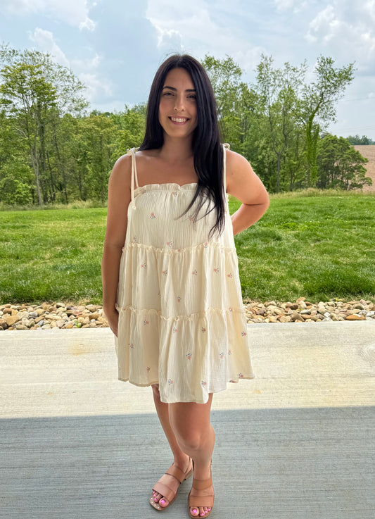 Blake Embroidered Mini Dress